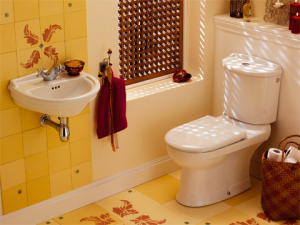 toaleta i umywalka Jaipur